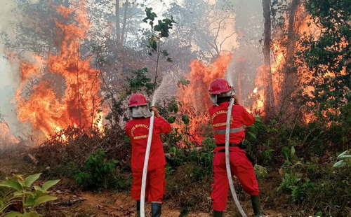 Kebakaran hutan di Kalimantan menyebabkan kabut asap yang mengganggu sekolah. (LHK)