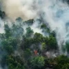 Pakar Hukum UMSURA Soroti Lintas Batas Kabut Asap Karhutla