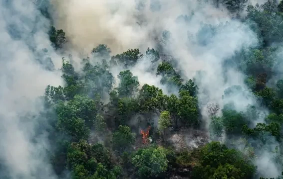 Kabut asap karhutla berpotensi hingga Malaysia dan Singapura. (ist)
