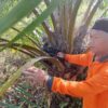 Menjaga Amanah Wakaf, PDM Seruyan Telusuri Kembali Aset Muhammadiyah di Desa Tanggul Harapan I