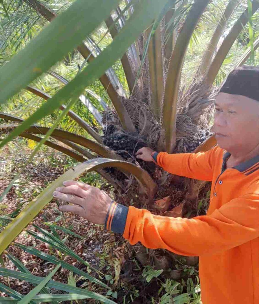 Menjaga Amanah Wakaf, PDM Seruyan Telusuri Kembali Aset Muhammadiyah di Desa Tanggul Harapan I