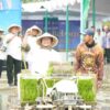 Kick Off Rojolele Reborn: Upaya Meningkatkan Kapasitas Produksi Jamaah Tani Muhammadiyah 