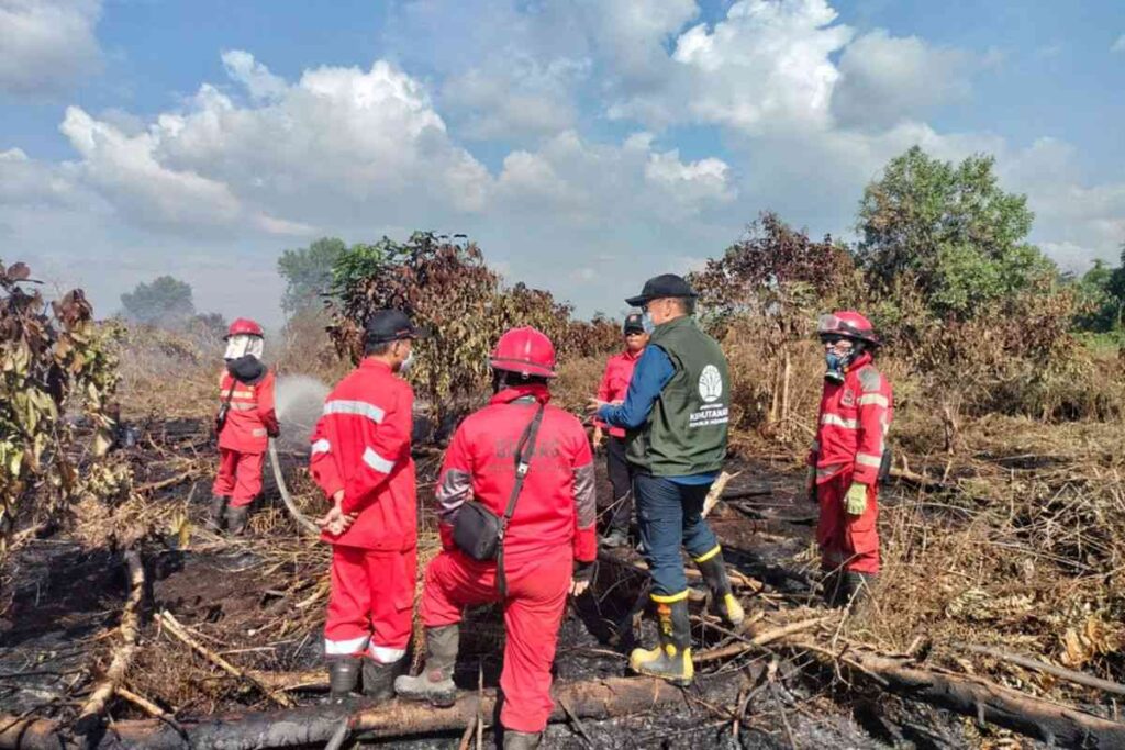 Karhutla dalam Perspektif Agama: Ketika Api Menjadi Cermin Keserakahan Manusia