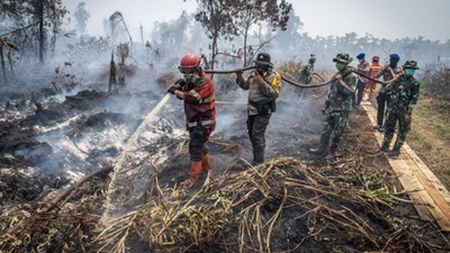 Petugas sedang berjuang memadamkan api karhutla. (ist)