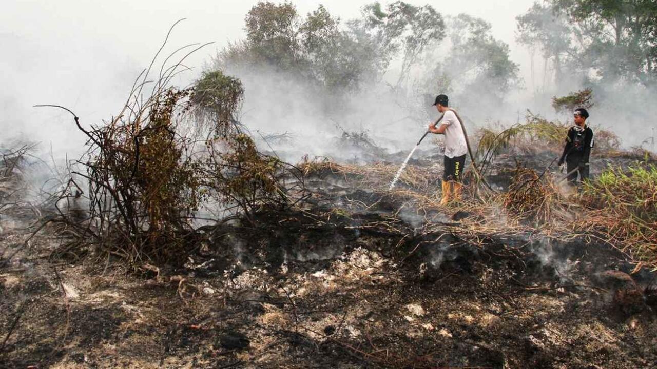 Karhutla: Api yang Dinyalakan Akal Sehat yang Padam