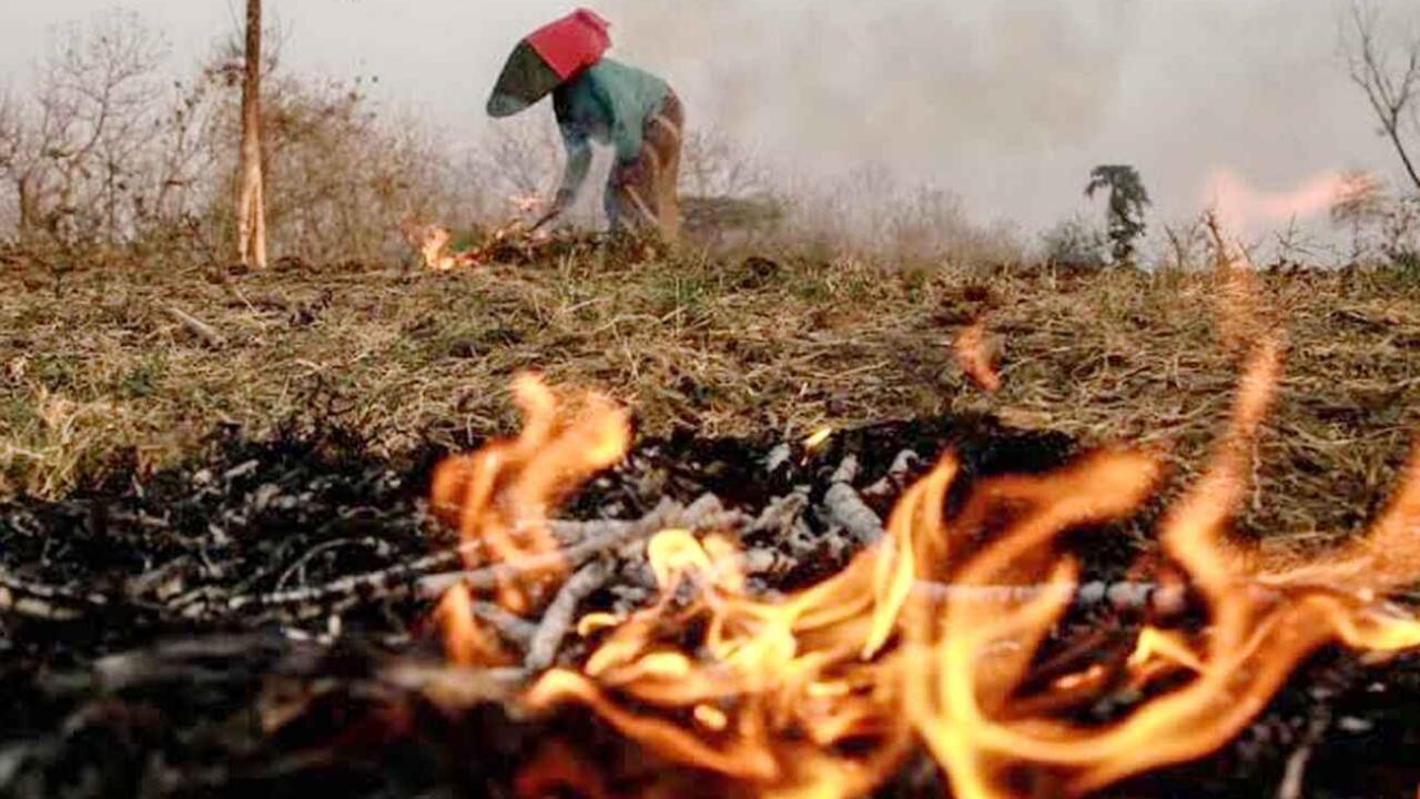Khotbah Jumat:  Jangan Bakar Bumi yang Menanggung Sujudmu
