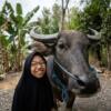 Ngonthel Bareng di Hari Santri, Siswa SMP Muhammadiyah 1 Nganjuk Raih Hadiah Utama Seekor Kerbau