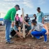 Muhammadiyah Tanam 114 Pohon Kelor di Palu